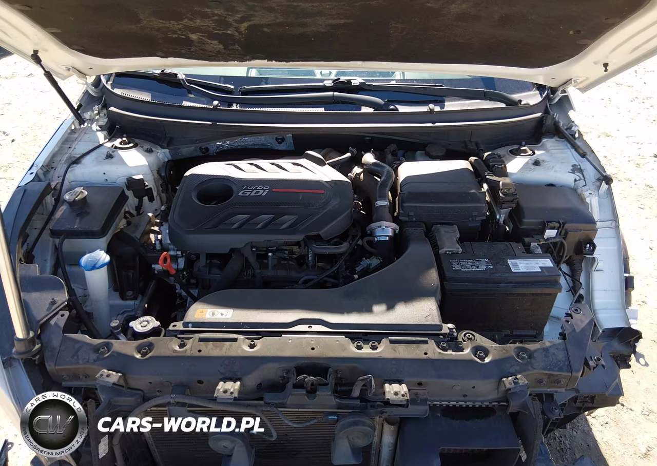 2017 Hyundai Sonata Sport 2.0T VIN:5NPE34AB4HH465402 - 10