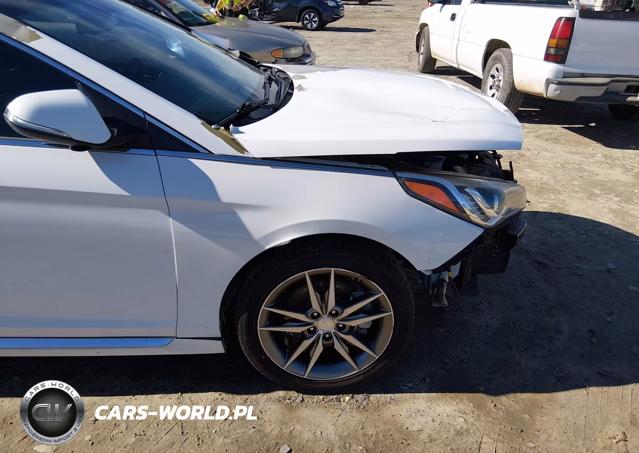 2017 Hyundai Sonata Sport 2.0T VIN:5NPE34AB4HH465402 - 22