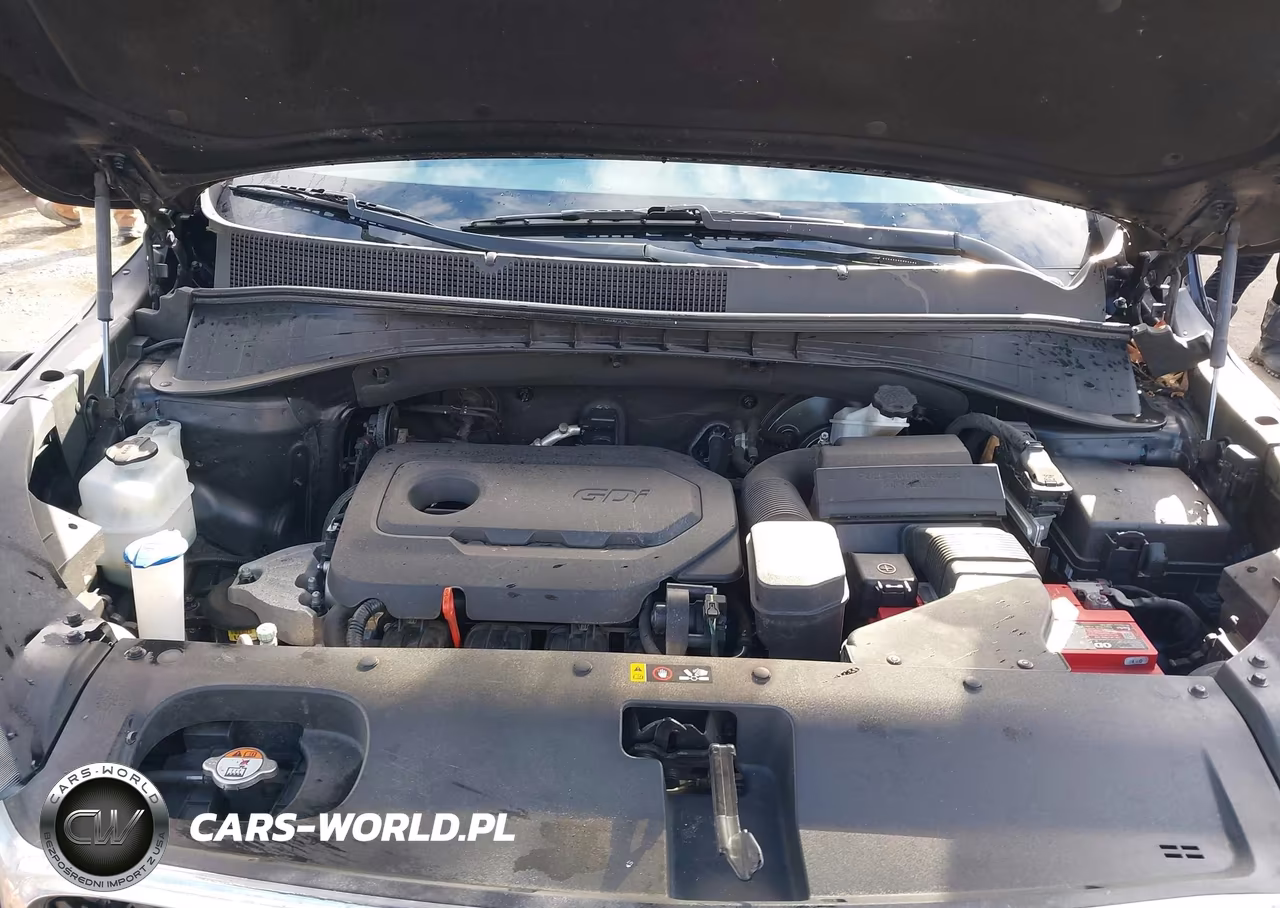 2016 Kia Sorento 2.4L Lx VIN:5XYPGDA32GG156281 - 10