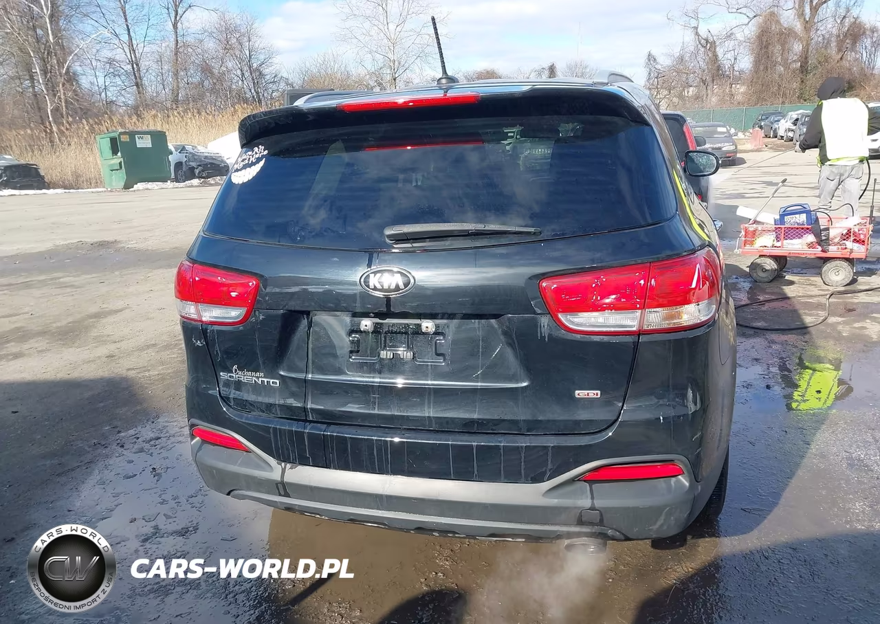 2016 Kia Sorento 2.4L Lx VIN:5XYPGDA32GG156281 - 17