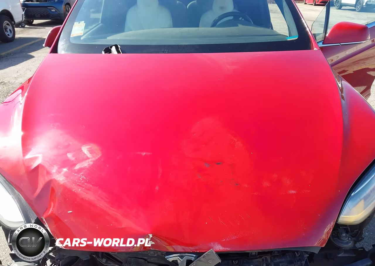 2018 Tesla Model X 100D-75D-P100D VIN:5YJXCBE22JF139707 - 10