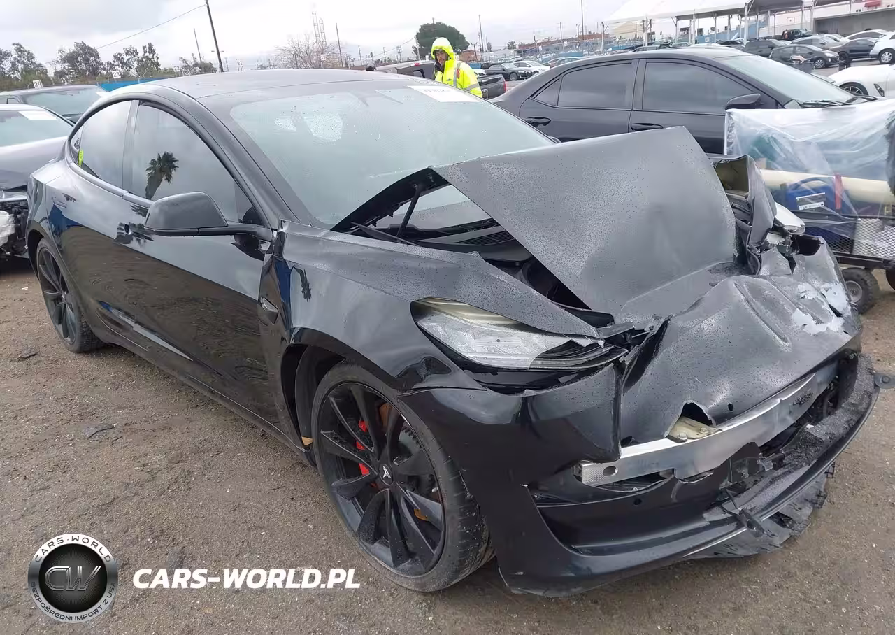 2019 Tesla Model 3 Long Range-Performance