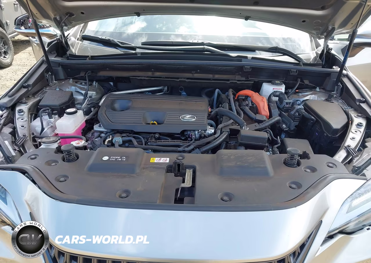 2024 Lexus Nx 350H Luxury VIN:JTJHKCEZXR2032099 - 10