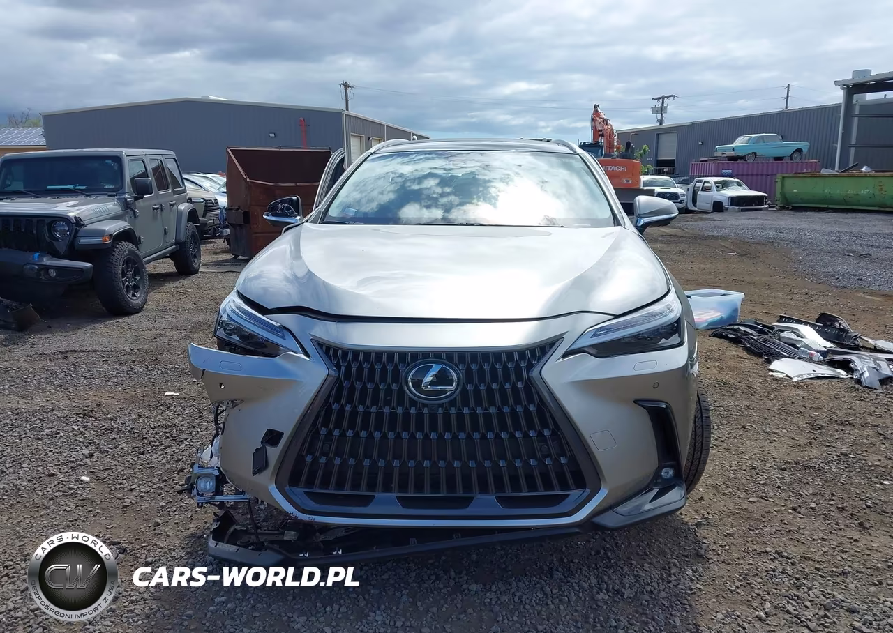 2024 Lexus Nx 350H Luxury VIN:JTJHKCEZXR2032099 - 12