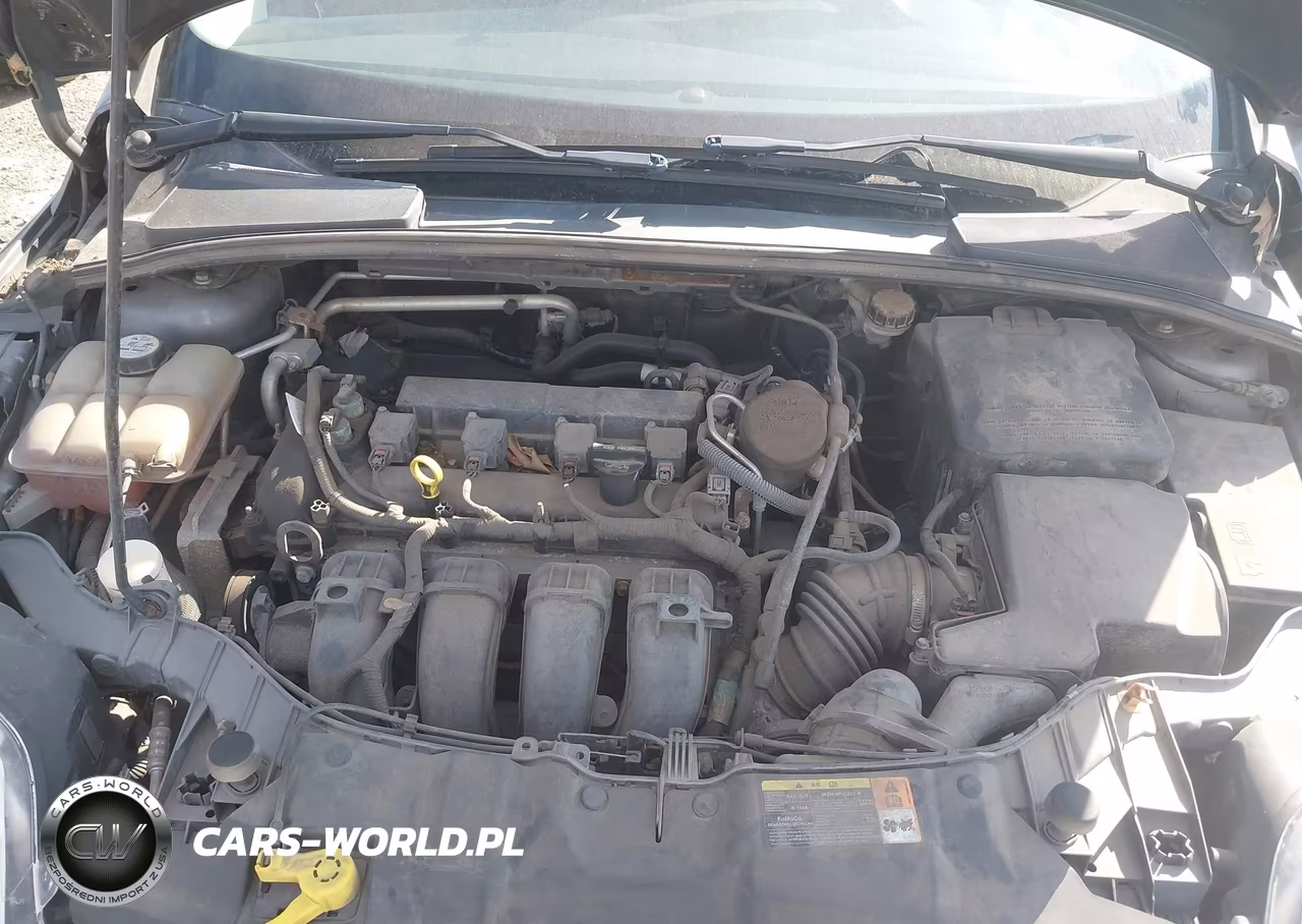 2013 Ford Focus Se VIN:1FADP3K20DL298301 - 10