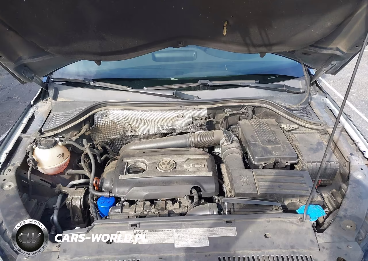 2013 Volkswagen Tiguan S VIN:WVGAV7AX8DW530192 - 10