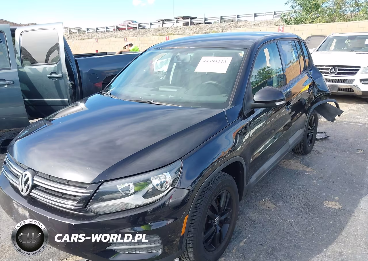 2013 Volkswagen Tiguan S VIN:WVGAV7AX8DW530192 - 2