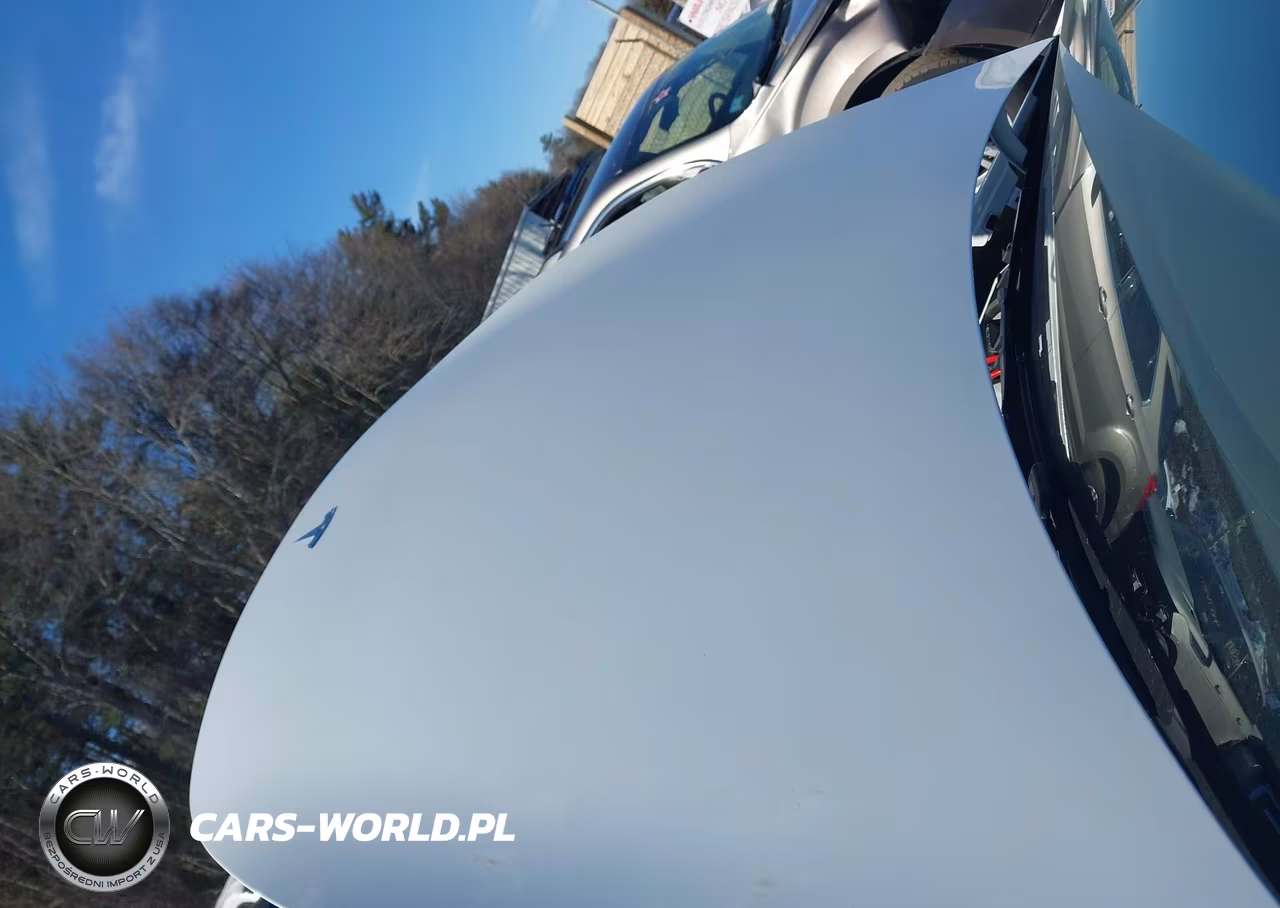 2025 Tesla Model Y Long Range Dual Motor All-Wheel Drive VIN:7SAYGAEEXSF224490 - 10