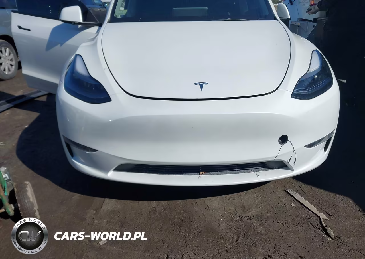 2025 Tesla Model Y Long Range Dual Motor All-Wheel Drive VIN:7SAYGAEEXSF224490 - 11