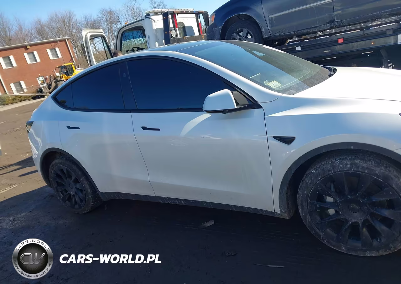2025 Tesla Model Y Long Range Dual Motor All-Wheel Drive VIN:7SAYGAEEXSF224490 - 12