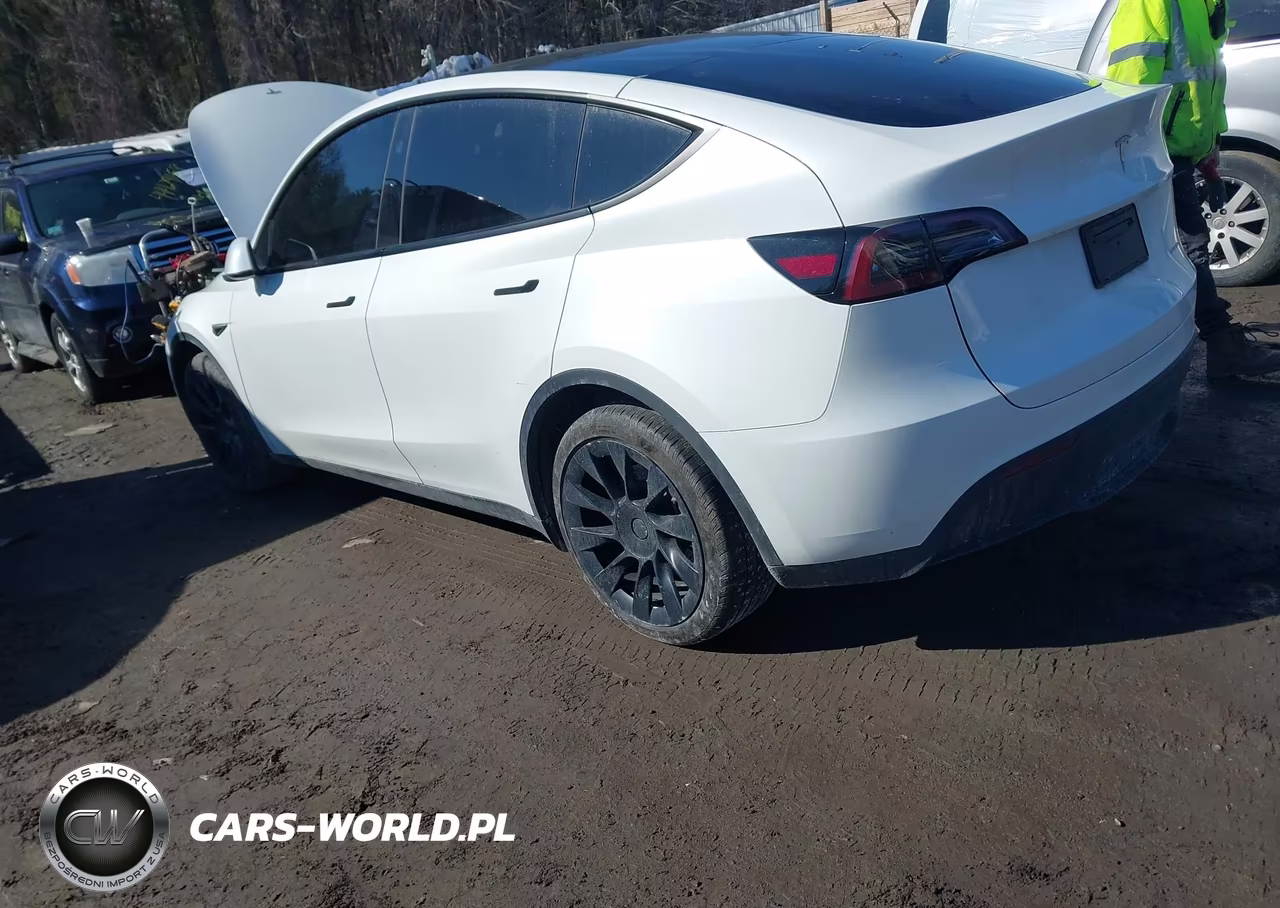 2025 Tesla Model Y Long Range Dual Motor All-Wheel Drive VIN:7SAYGAEEXSF224490 - 3