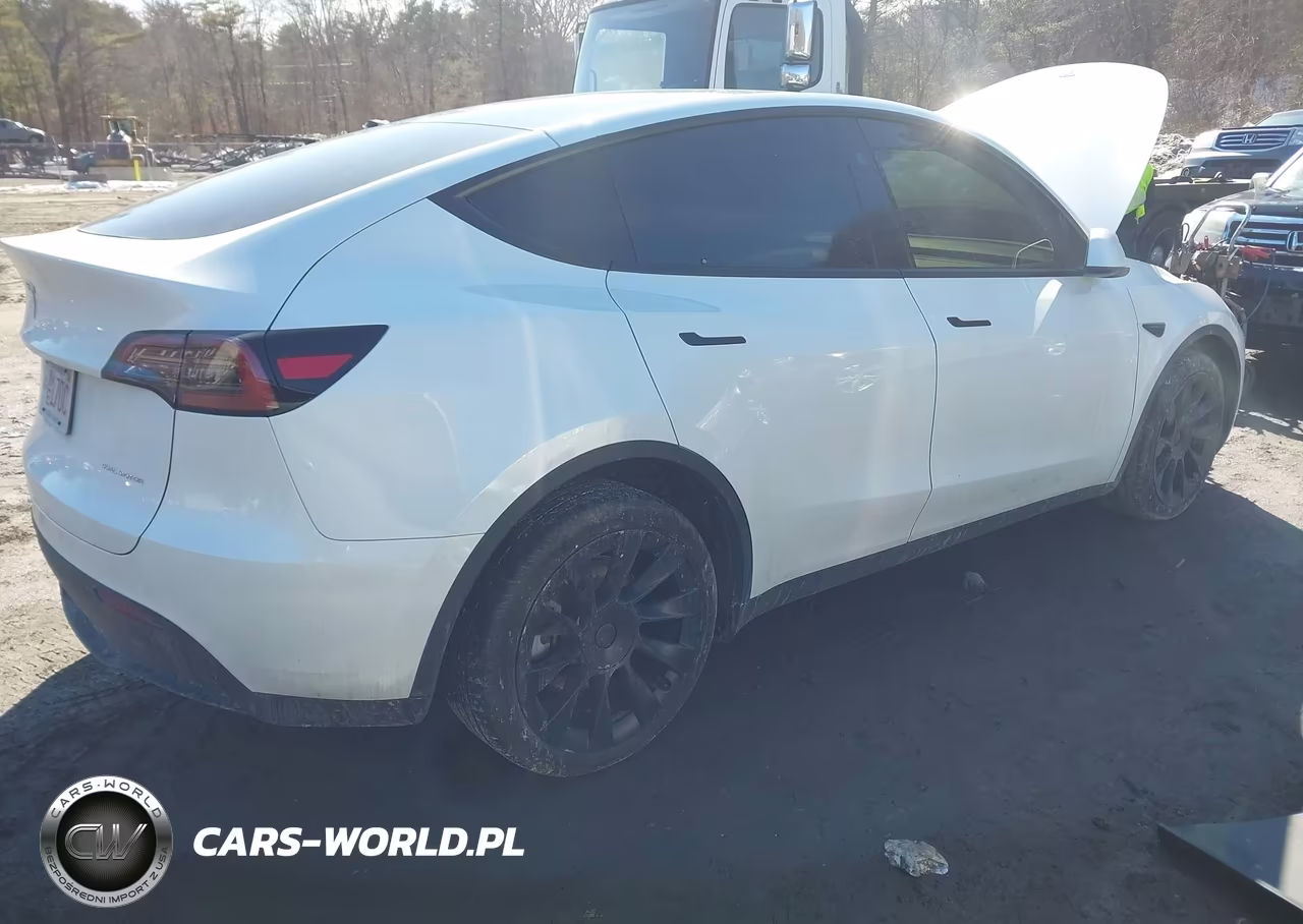2025 Tesla Model Y Long Range Dual Motor All-Wheel Drive VIN:7SAYGAEEXSF224490 - 4