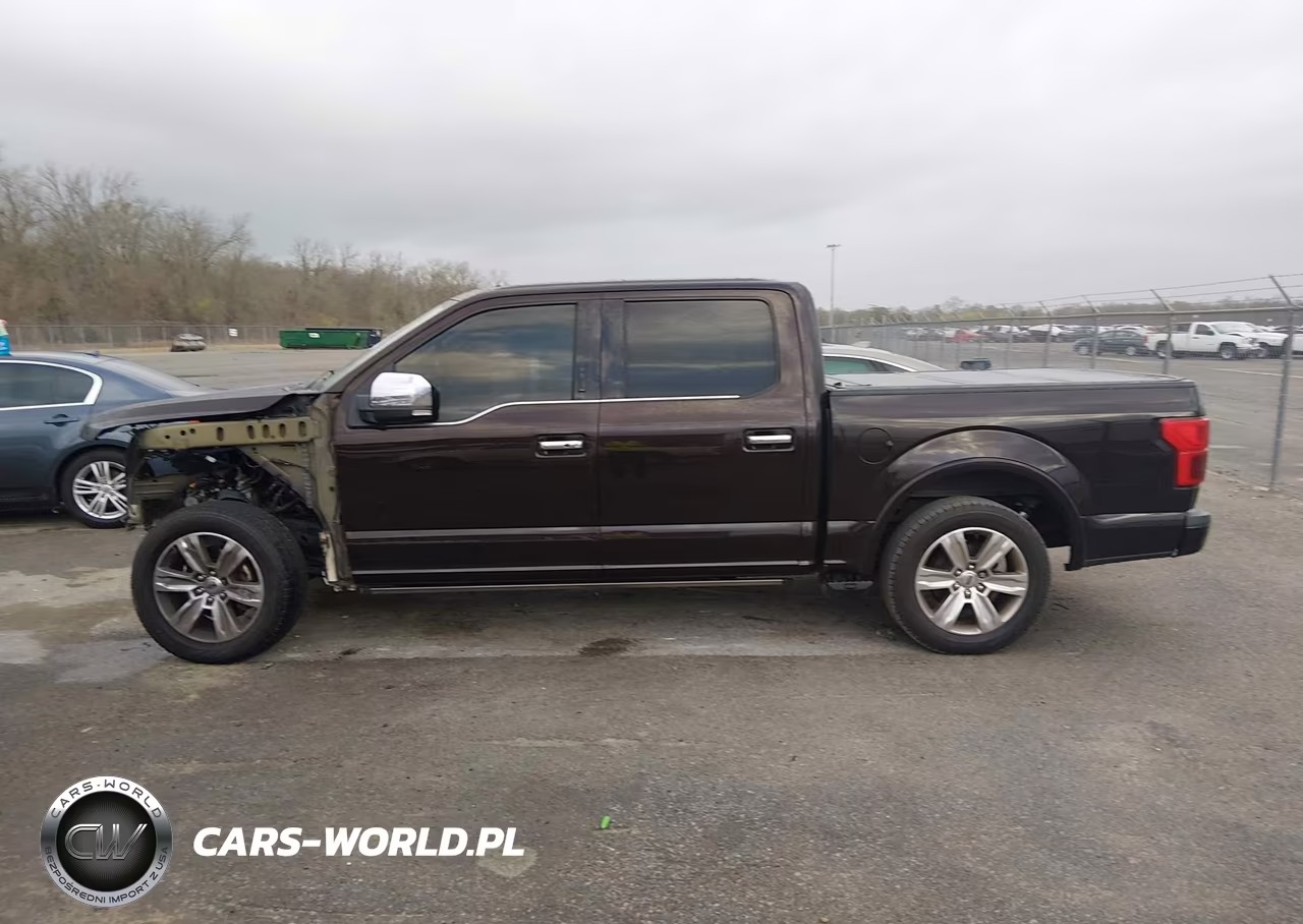2018 Ford F-150 Platinum VIN:1FTEW1CG6JFE37678 - 15