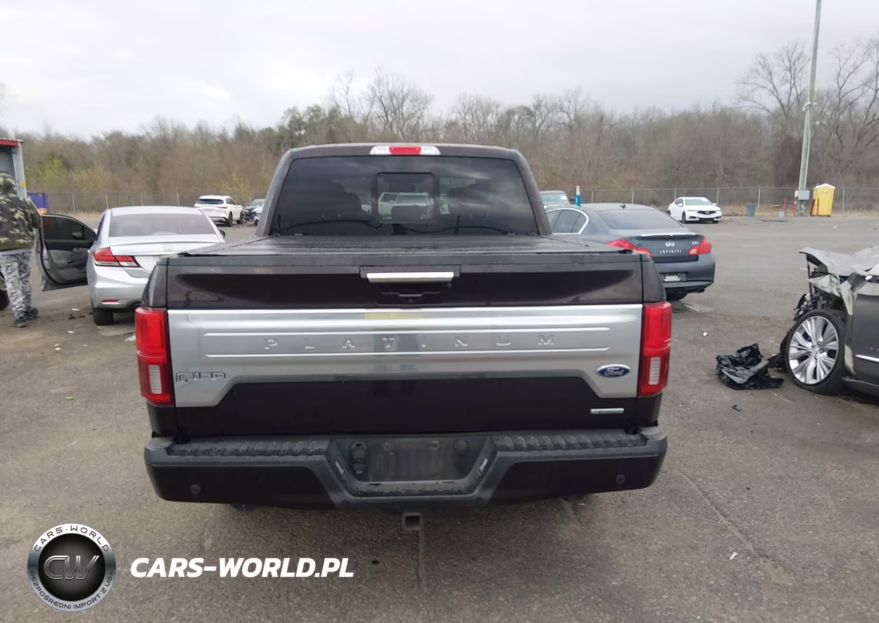 2018 Ford F-150 Platinum VIN:1FTEW1CG6JFE37678 - 17