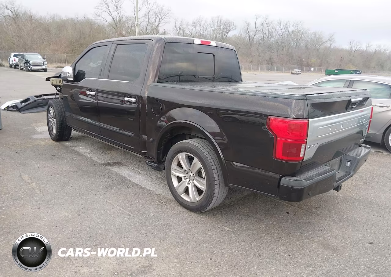 2018 Ford F-150 Platinum VIN:1FTEW1CG6JFE37678 - 3