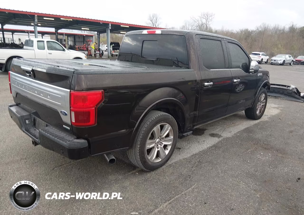 2018 Ford F-150 Platinum VIN:1FTEW1CG6JFE37678 - 4