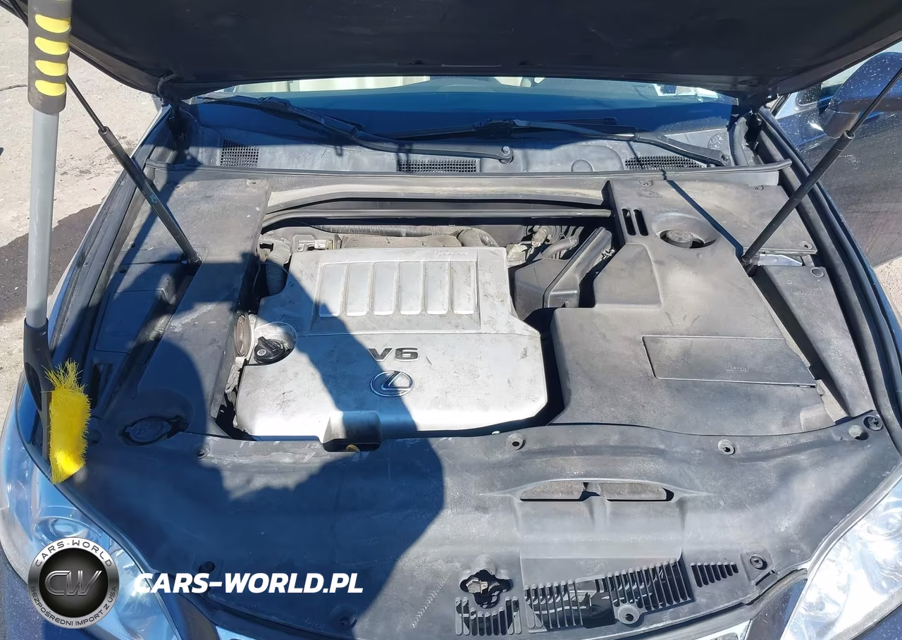 2009 Lexus Es 350 VIN:JTHBJ46G292325282 - 10