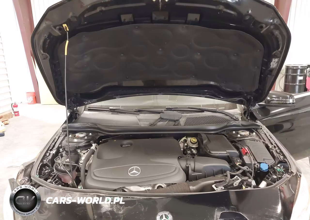 2019 Mercedes-Benz Cla 250 4Matic VIN:WDDSJ4GB4KN741235 - 10