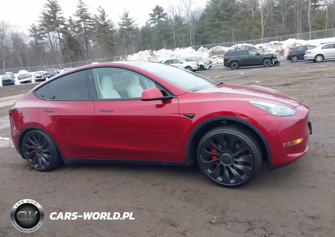 2024 Tesla Model Y Performance Dual Motor All-Wheel Drive VIN:7SAYGDEF3RA320771 - 14