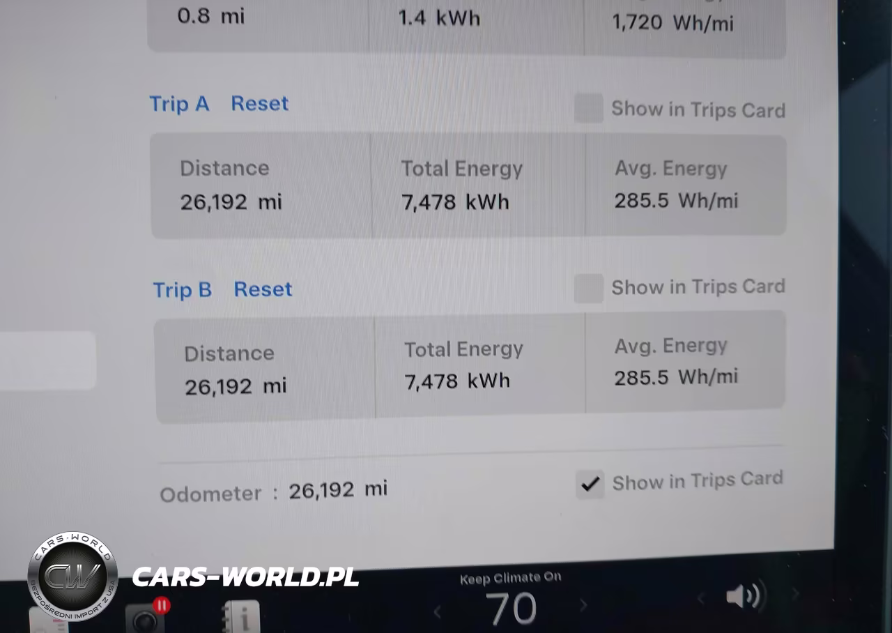 2024 Tesla Model Y Performance Dual Motor All-Wheel Drive VIN:7SAYGDEF3RA320771 - 7