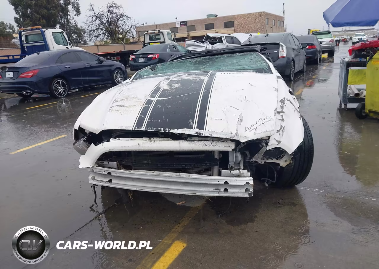 2013 Ford Mustang V6 VIN:1ZVBP8EM2D5203685 - 11