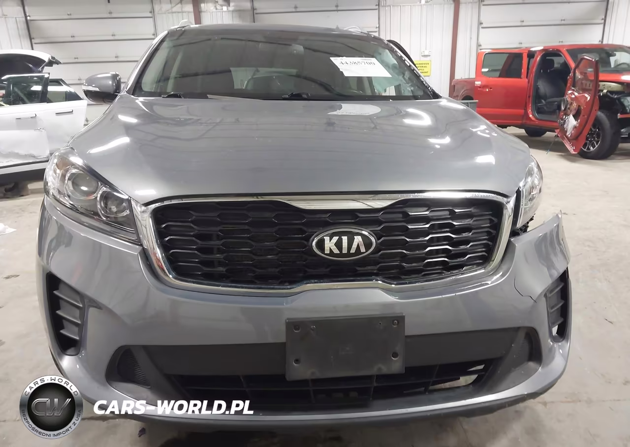 2019 Kia Sorento 2.4L Lx VIN:5XYPGDA32KG604110 - 13