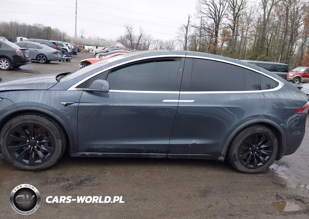 2016 Tesla Model X 60D-70D-75D-90D-P100D VIN:5YJXCBE21GF027909 - 13
