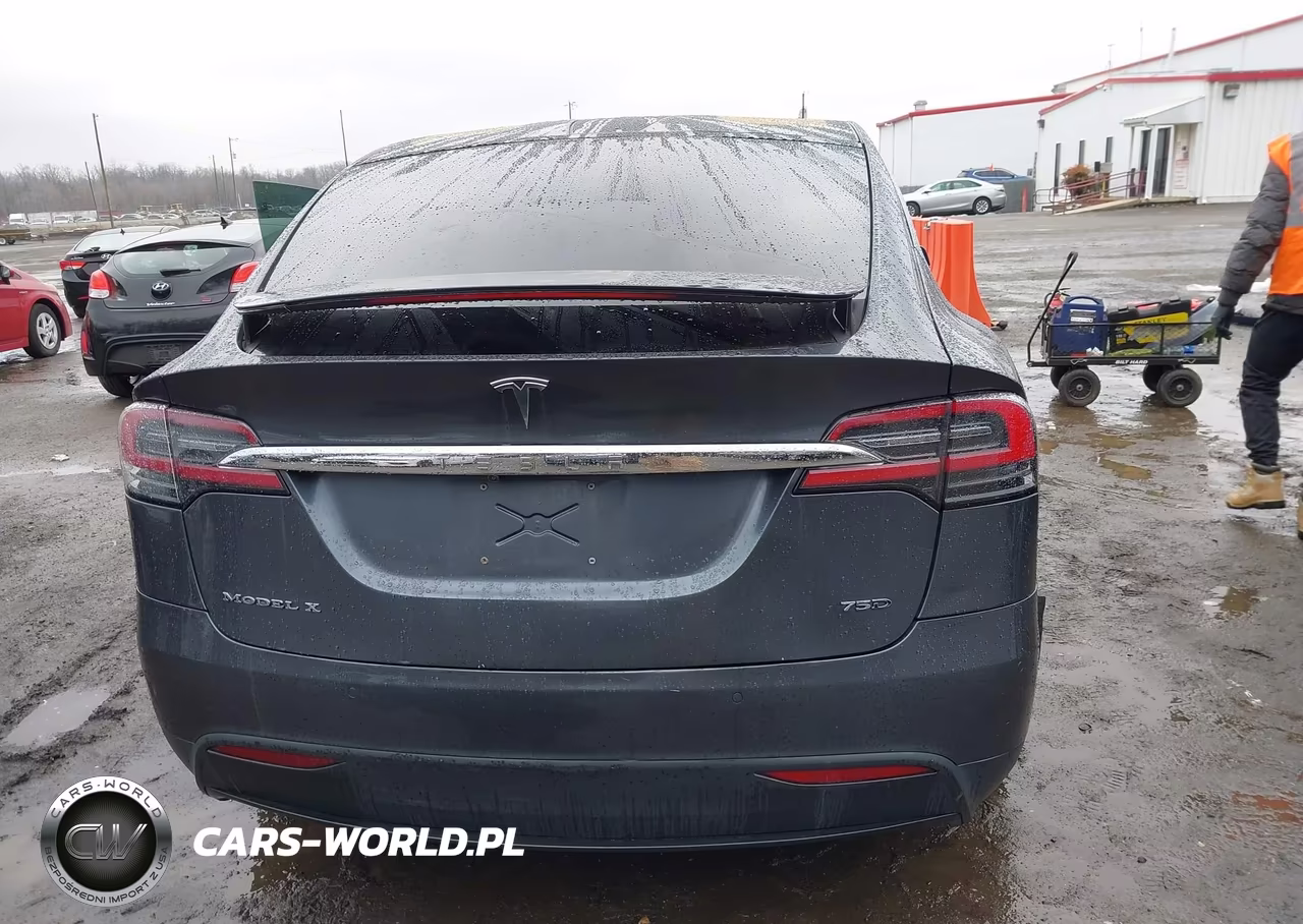 2016 Tesla Model X 60D-70D-75D-90D-P100D VIN:5YJXCBE21GF027909 - 15