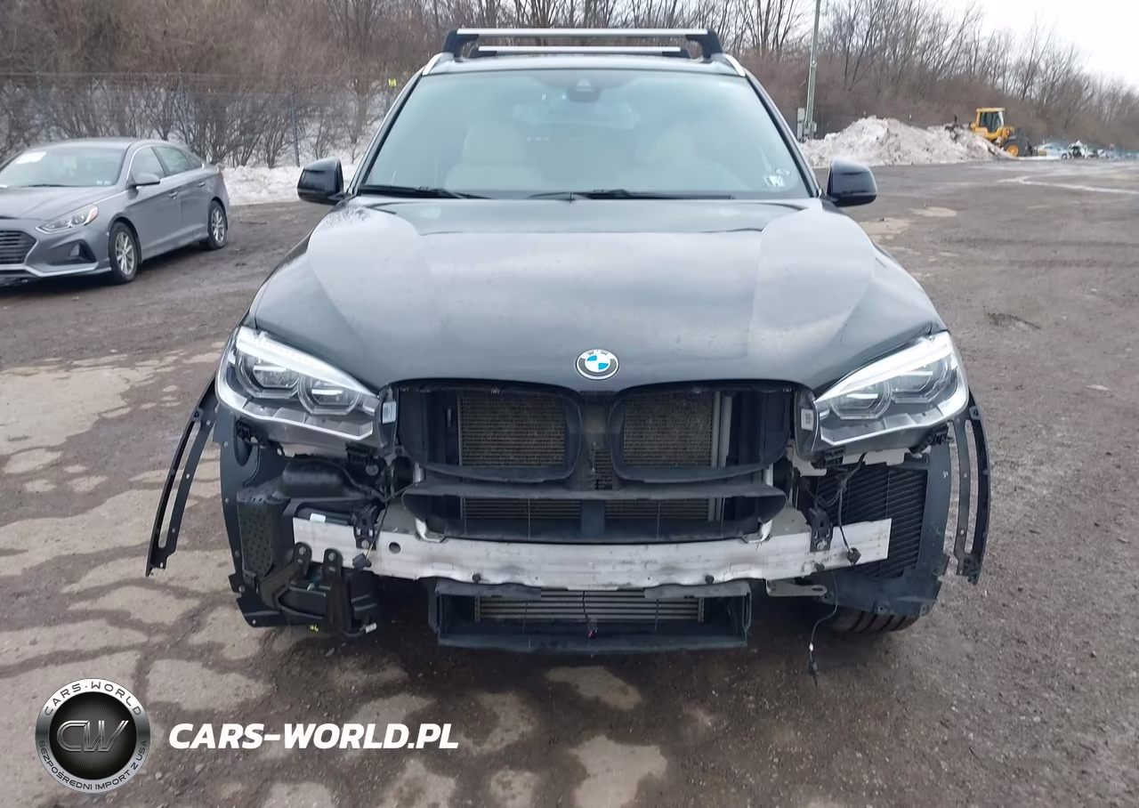 2017 BMW X5 xDrive35D VIN:5UXKS4C34H0U05434 - 13