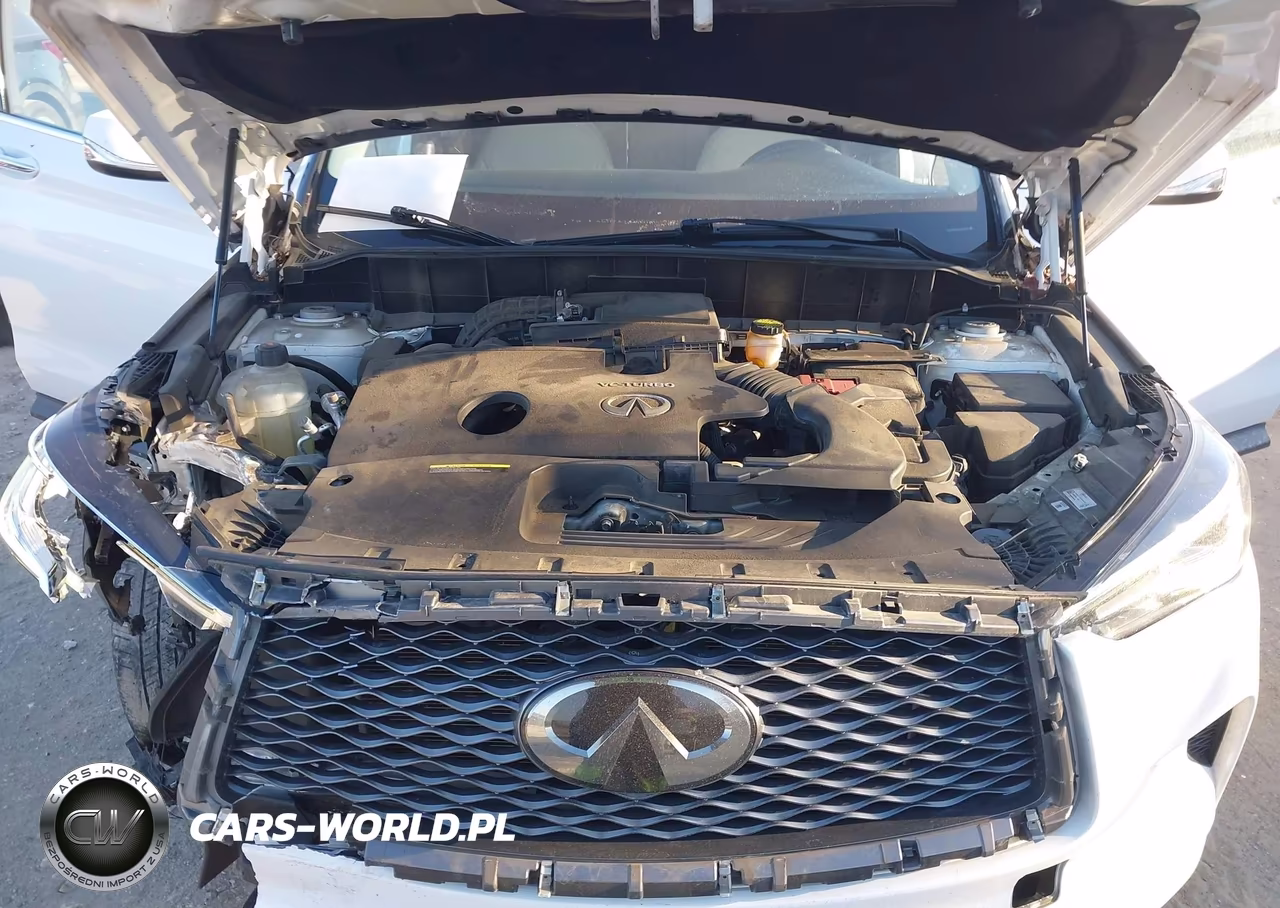 2020 Infiniti Qx50 Luxe Awd VIN:3PCAJ5M39LF104561 - 10