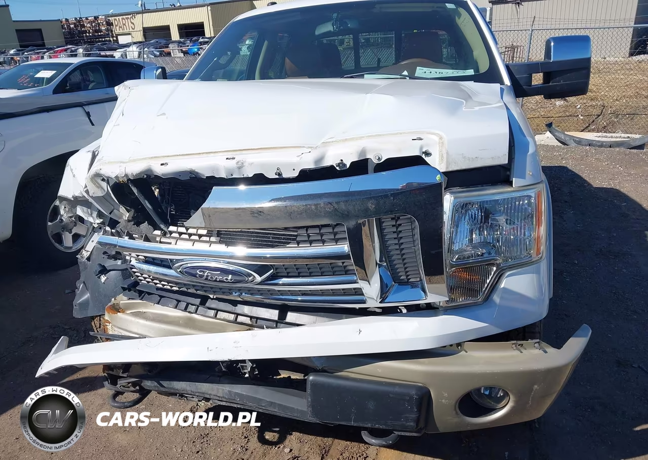 2010 Ford F-150 Fx4-Harley-Davidson-King Ranch-Lariat-Platinum-Xl-Xlt VIN:1FTFW1EV2AKA20369 - 12
