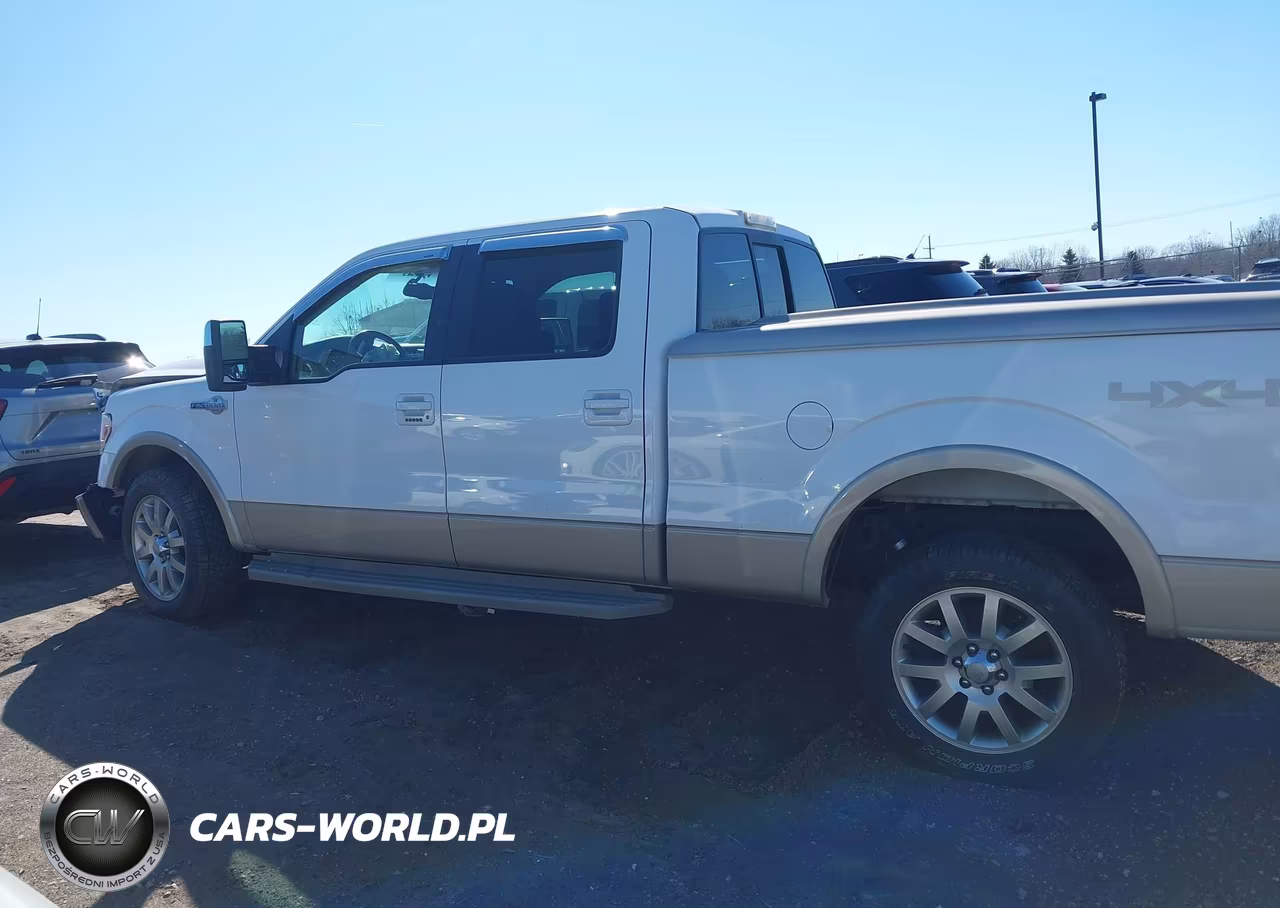 2010 Ford F-150 Fx4-Harley-Davidson-King Ranch-Lariat-Platinum-Xl-Xlt VIN:1FTFW1EV2AKA20369 - 14