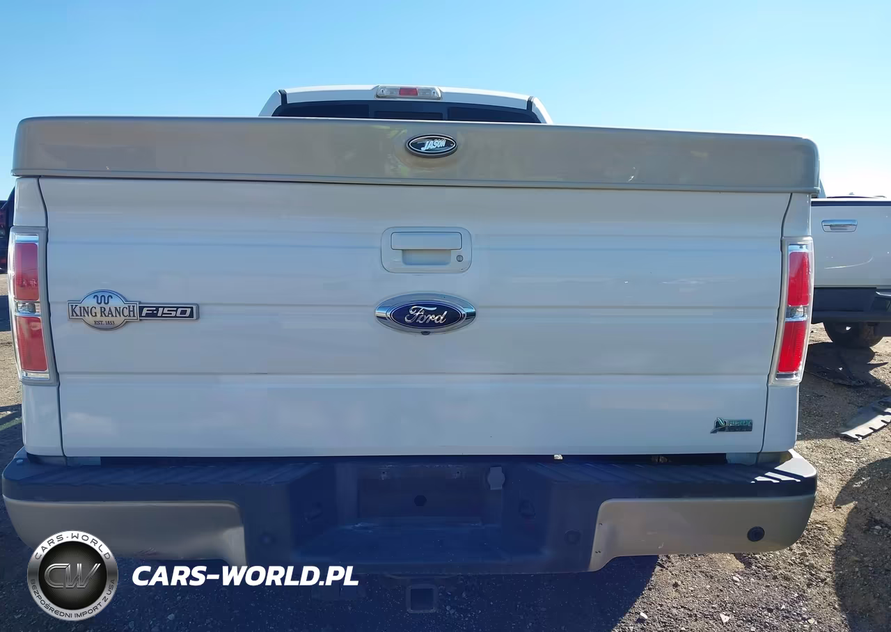 2010 Ford F-150 Fx4-Harley-Davidson-King Ranch-Lariat-Platinum-Xl-Xlt VIN:1FTFW1EV2AKA20369 - 16