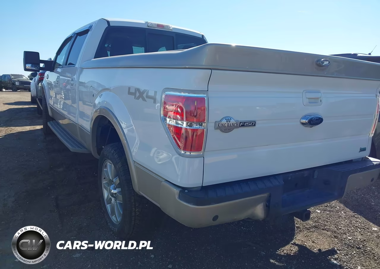 2010 Ford F-150 Fx4-Harley-Davidson-King Ranch-Lariat-Platinum-Xl-Xlt VIN:1FTFW1EV2AKA20369 - 3