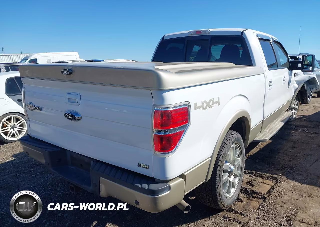 2010 Ford F-150 Fx4-Harley-Davidson-King Ranch-Lariat-Platinum-Xl-Xlt VIN:1FTFW1EV2AKA20369 - 4