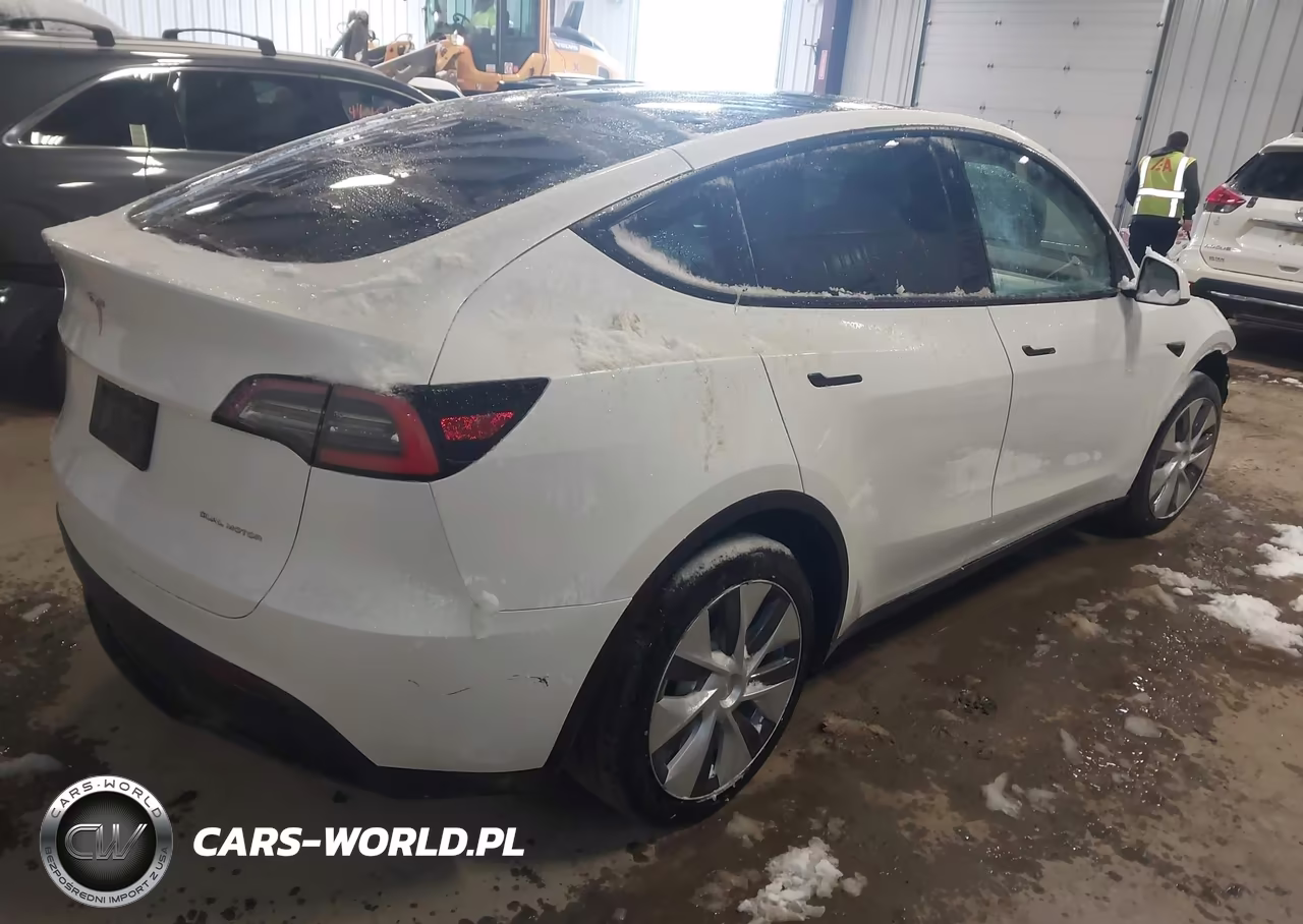 2020 Tesla Model Y Long Range Dual Motor All-Wheel Drive VIN:5YJYGDEE4LF049721 - 4