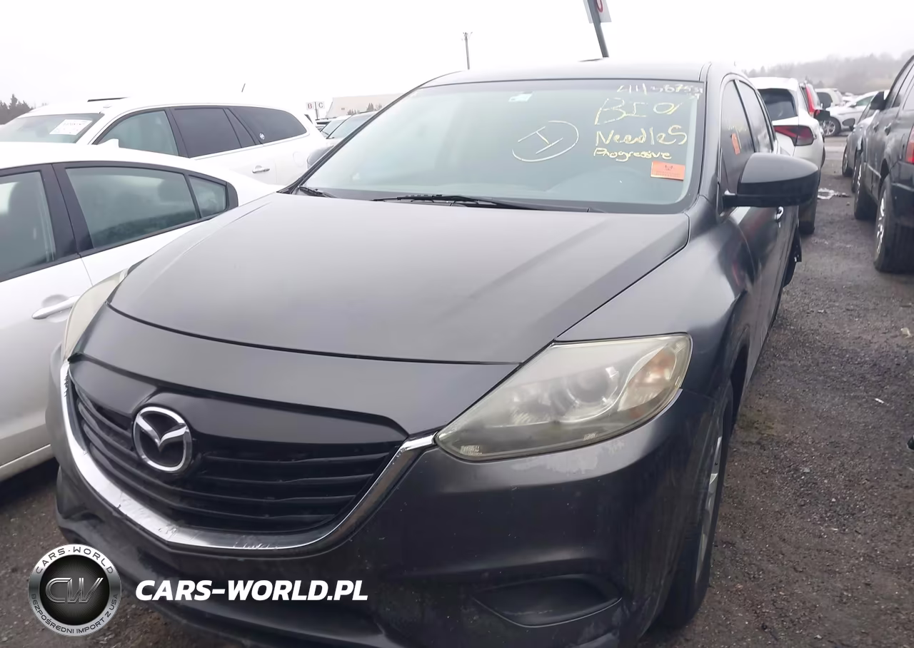2013 Mazda Cx-9 Touring VIN:JM3TB2CVXD0411106 - 13