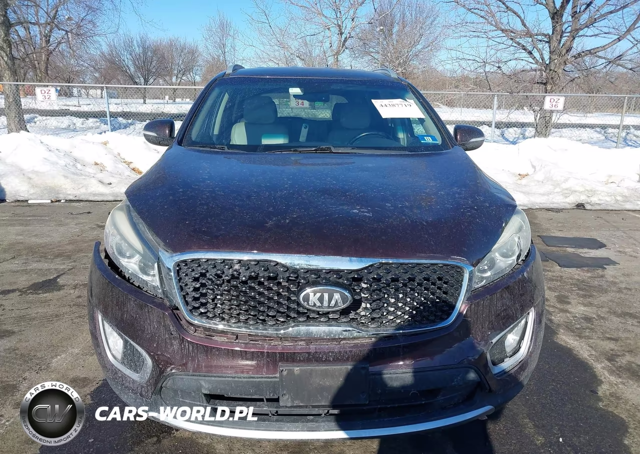 2016 Kia Sorento 2.0T Ex VIN:5XYPHDA10GG030321 - 12