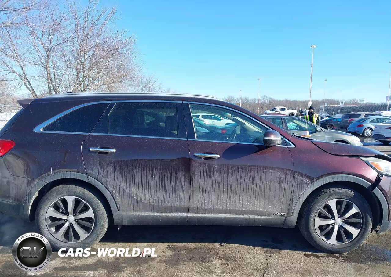 2016 Kia Sorento 2.0T Ex VIN:5XYPHDA10GG030321 - 13