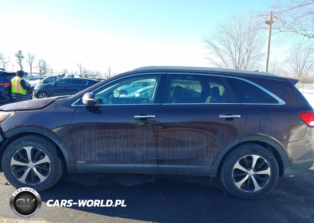 2016 Kia Sorento 2.0T Ex VIN:5XYPHDA10GG030321 - 14