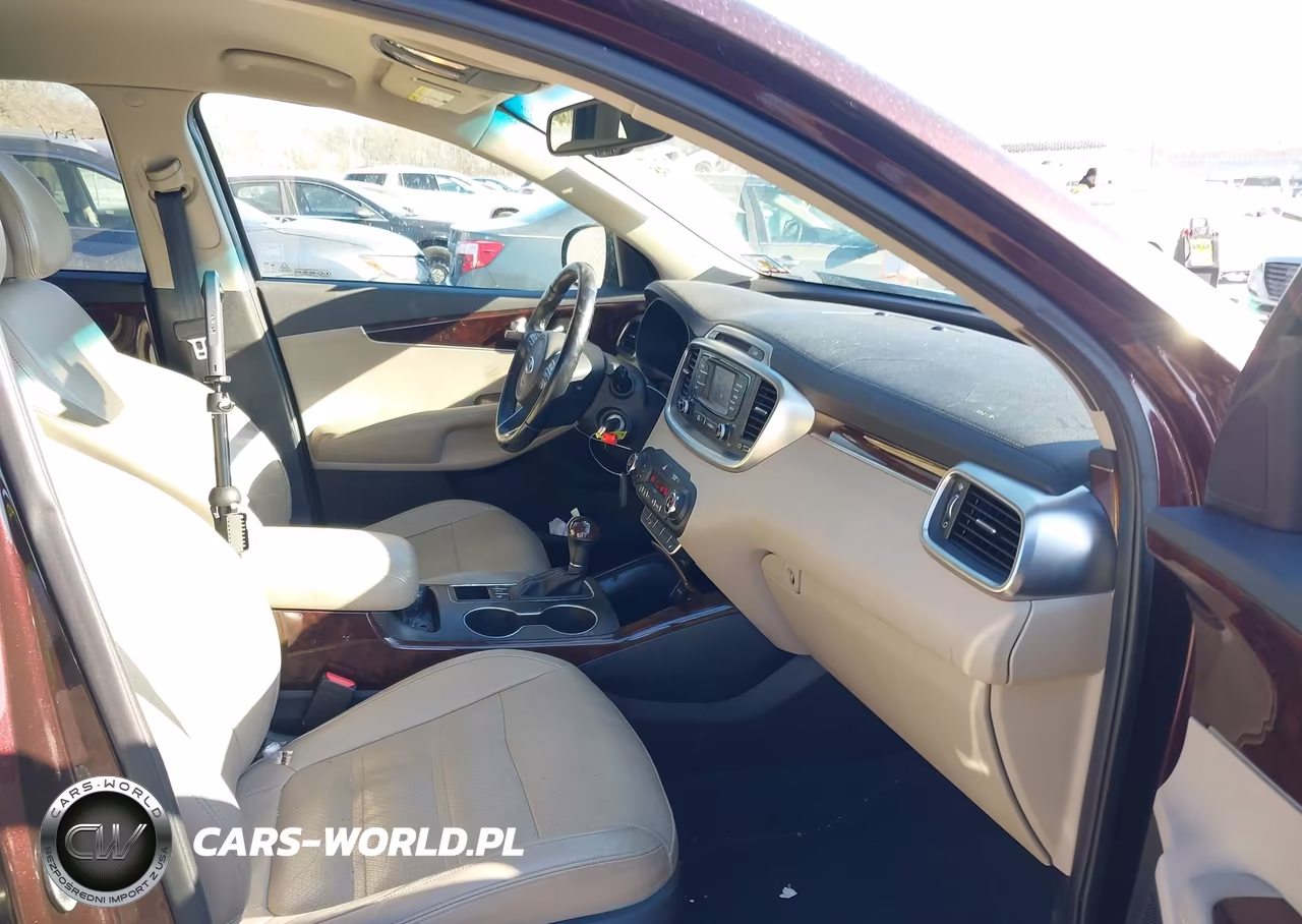 2016 Kia Sorento 2.0T Ex VIN:5XYPHDA10GG030321 - 5