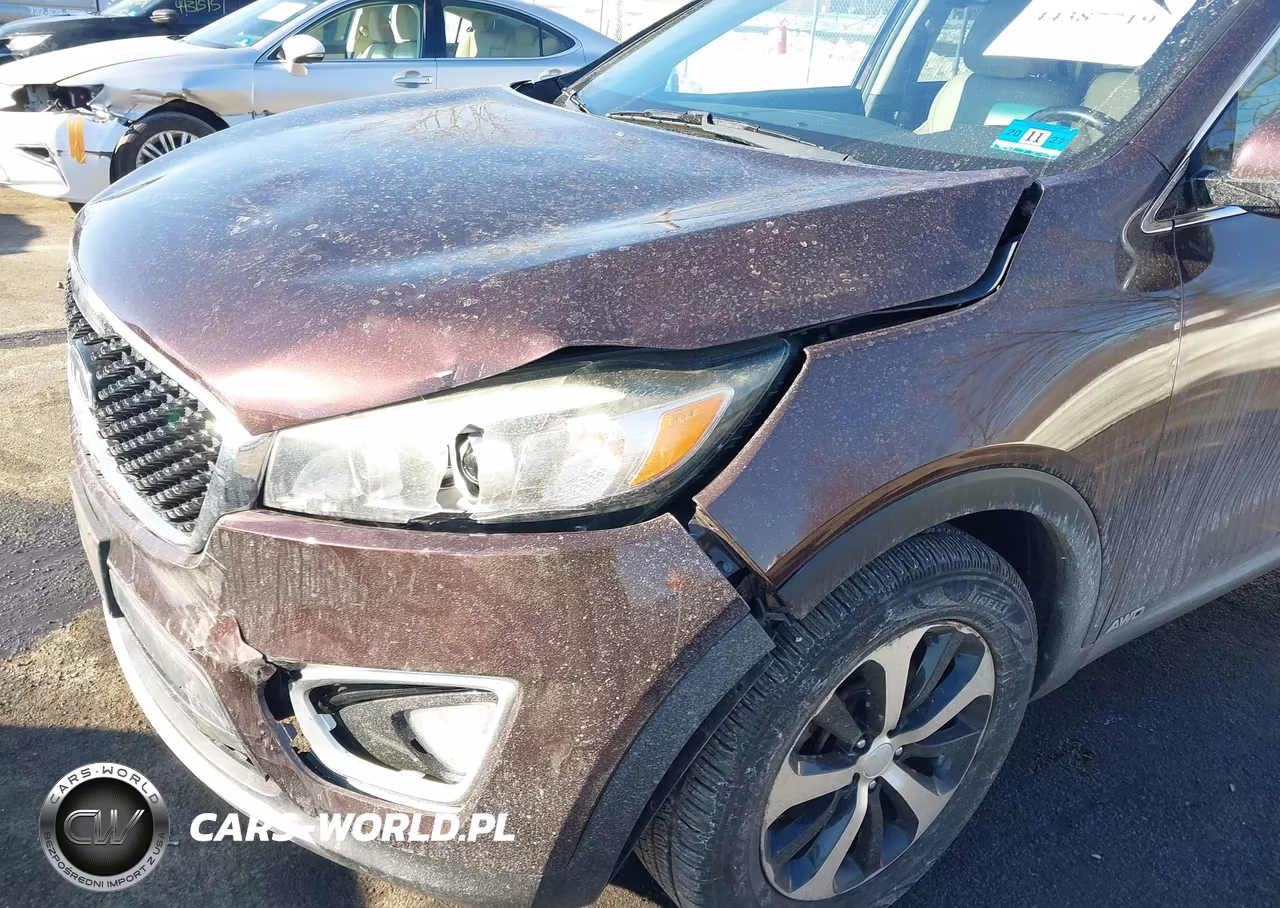 2016 Kia Sorento 2.0T Ex VIN:5XYPHDA10GG030321 - 6