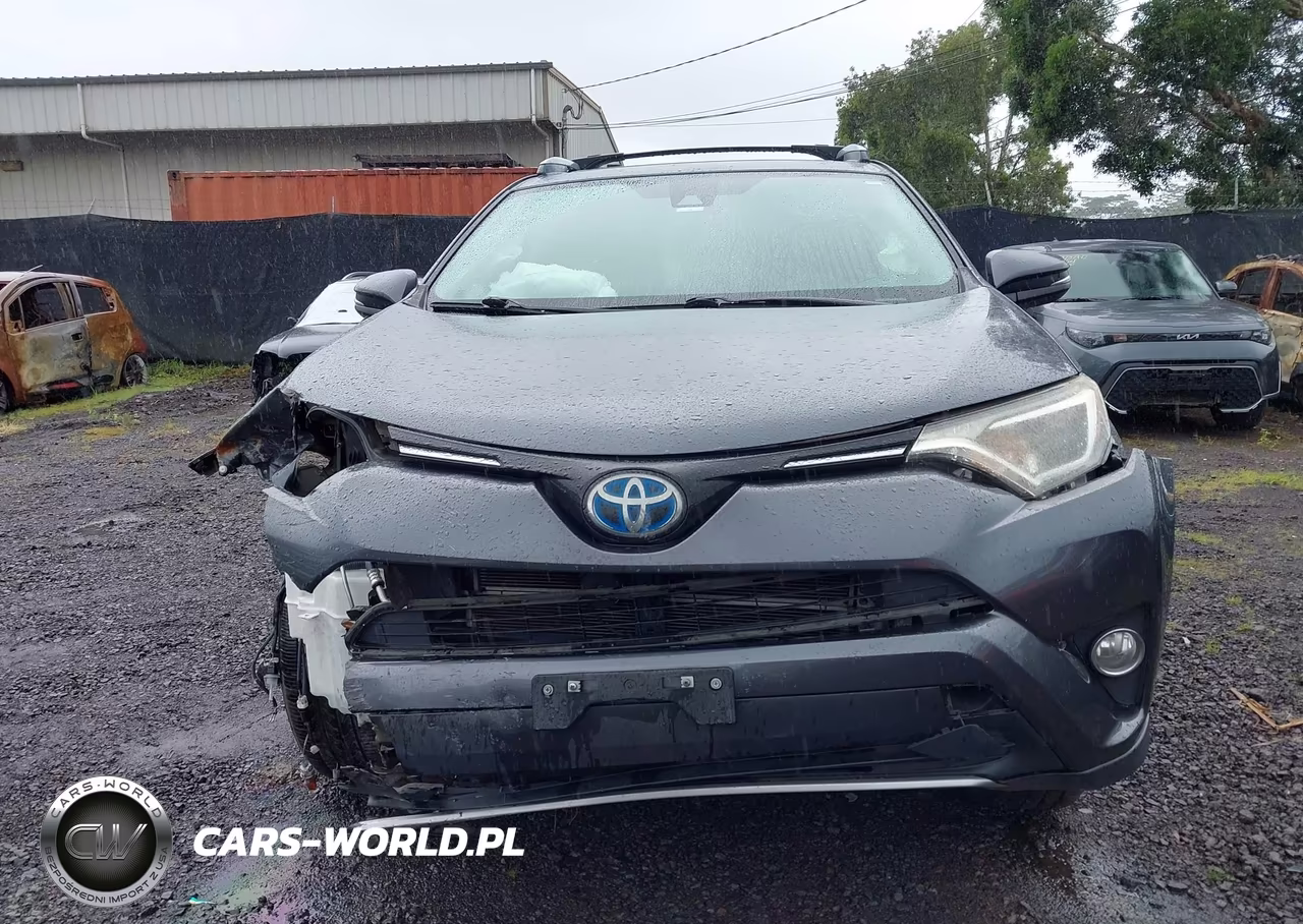 2017 Toyota Rav4 Hybrid Xle VIN:JTMRJREV1HD073329 - 12