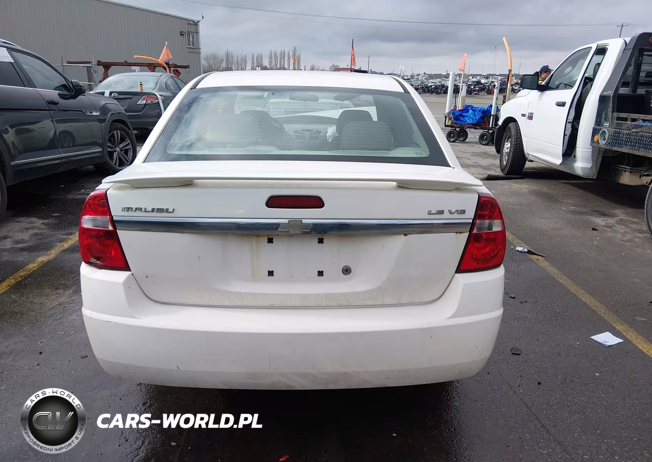 2005 Chevrolet Malibu Ls VIN:1G1ZT52895F114235 - 17