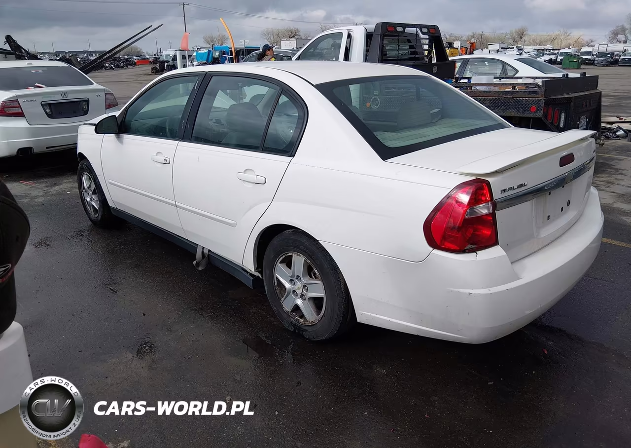 2005 Chevrolet Malibu Ls VIN:1G1ZT52895F114235 - 3