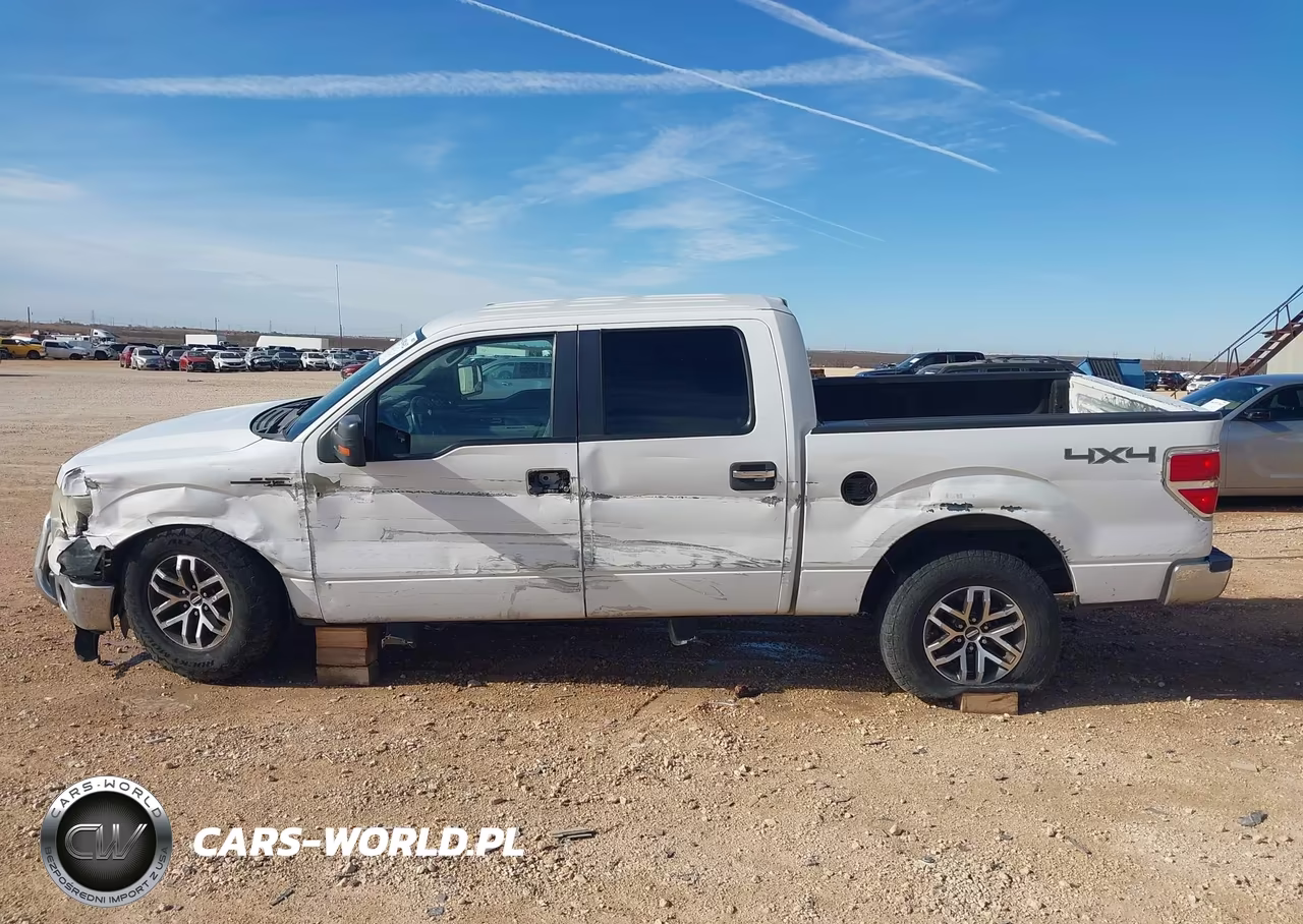 2013 Ford F-150 Xlt VIN:1FTFW1EF8DKD79139 - 15