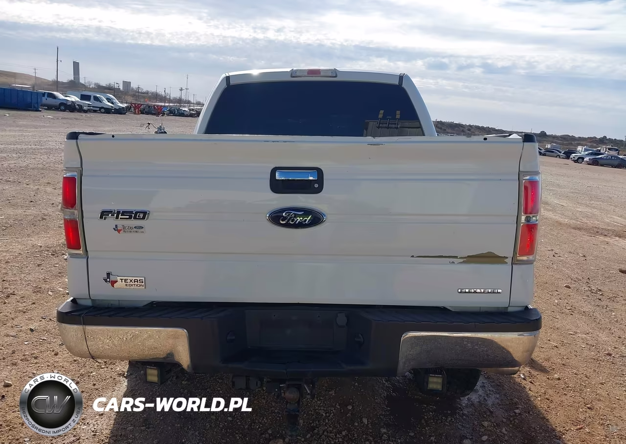 2013 Ford F-150 Xlt VIN:1FTFW1EF8DKD79139 - 17