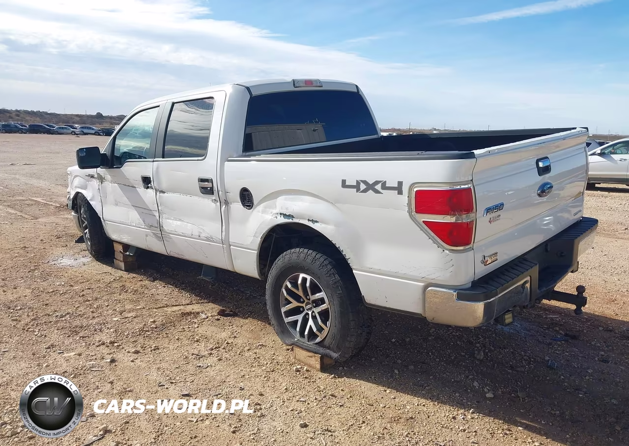 2013 Ford F-150 Xlt VIN:1FTFW1EF8DKD79139 - 3