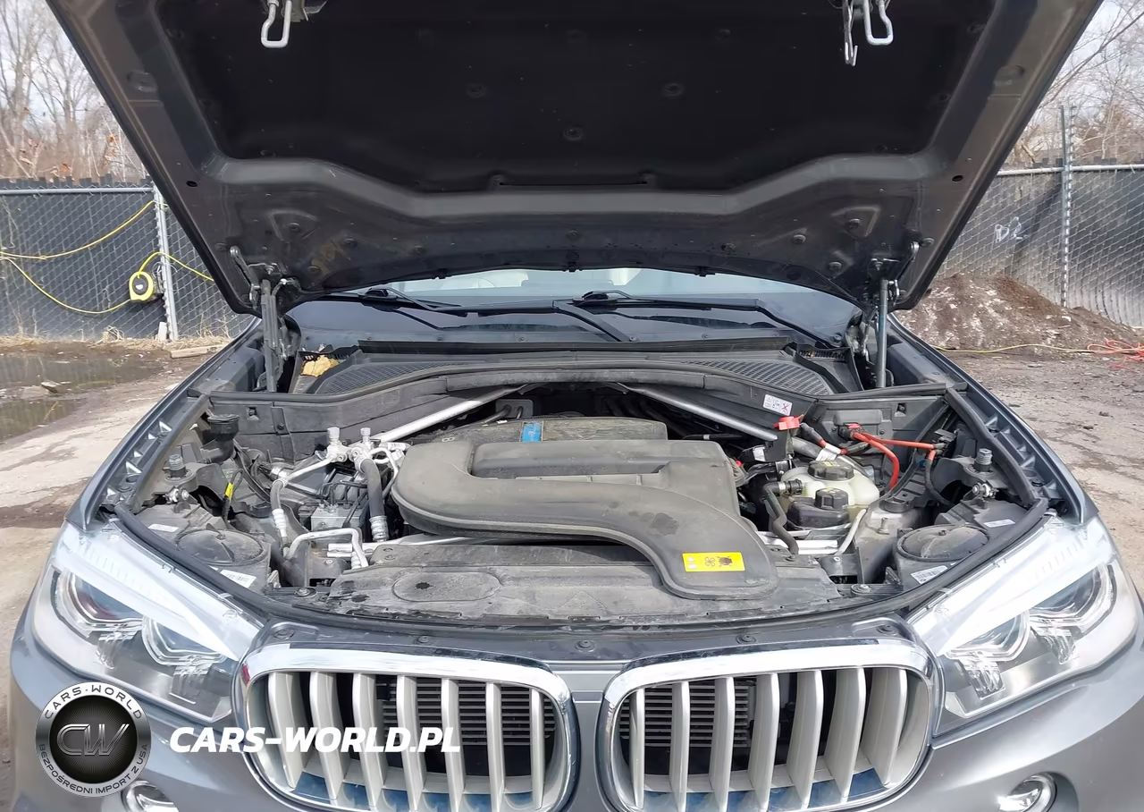 2018 BMW X5 Edrive xDrive40E Iperformance VIN:5UXKT0C57J0V99616 - 10