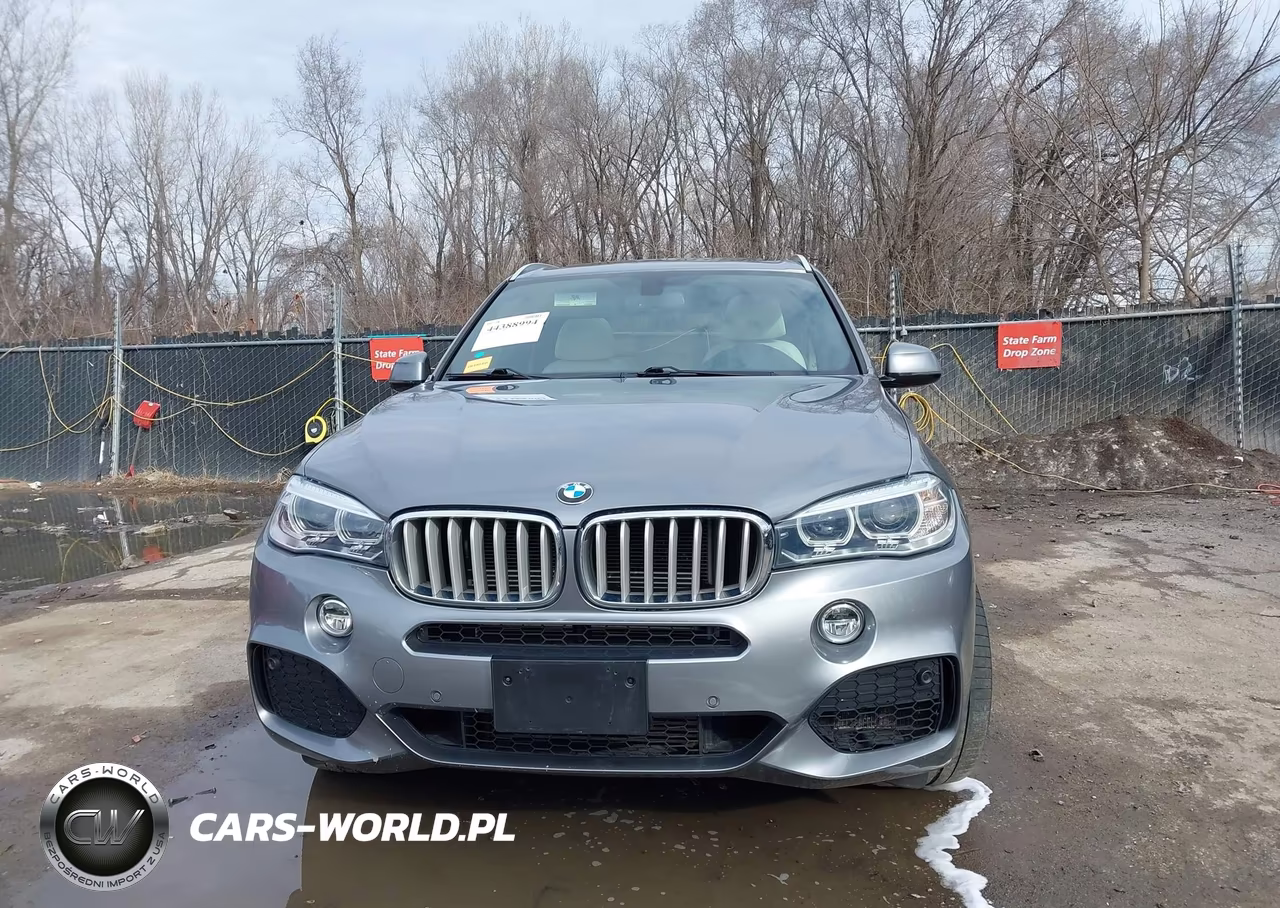 2018 BMW X5 Edrive xDrive40E Iperformance VIN:5UXKT0C57J0V99616 - 12